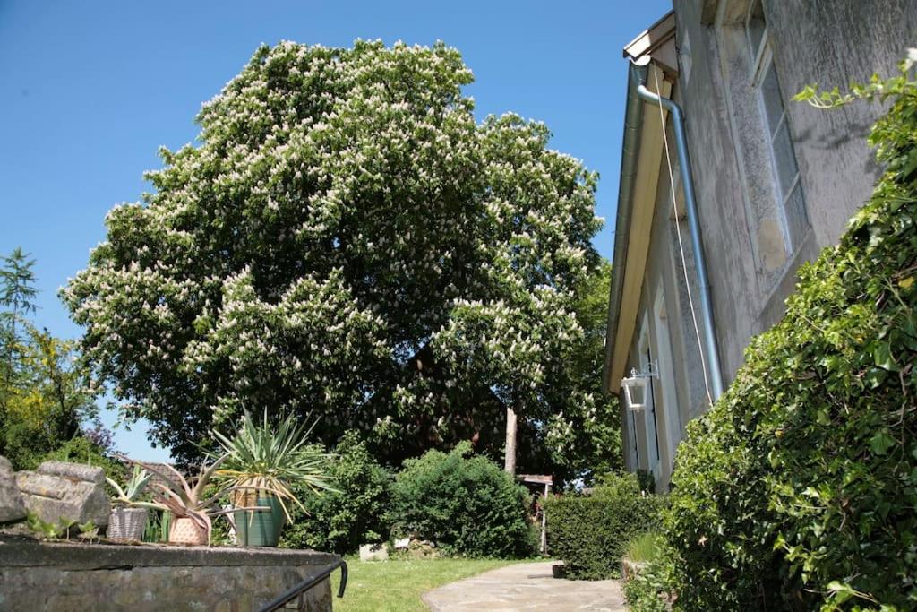 Апартаменты Haus Keppelborg: Zi Elisabeth Mit Burgmauerblick Heek Экстерьер фото